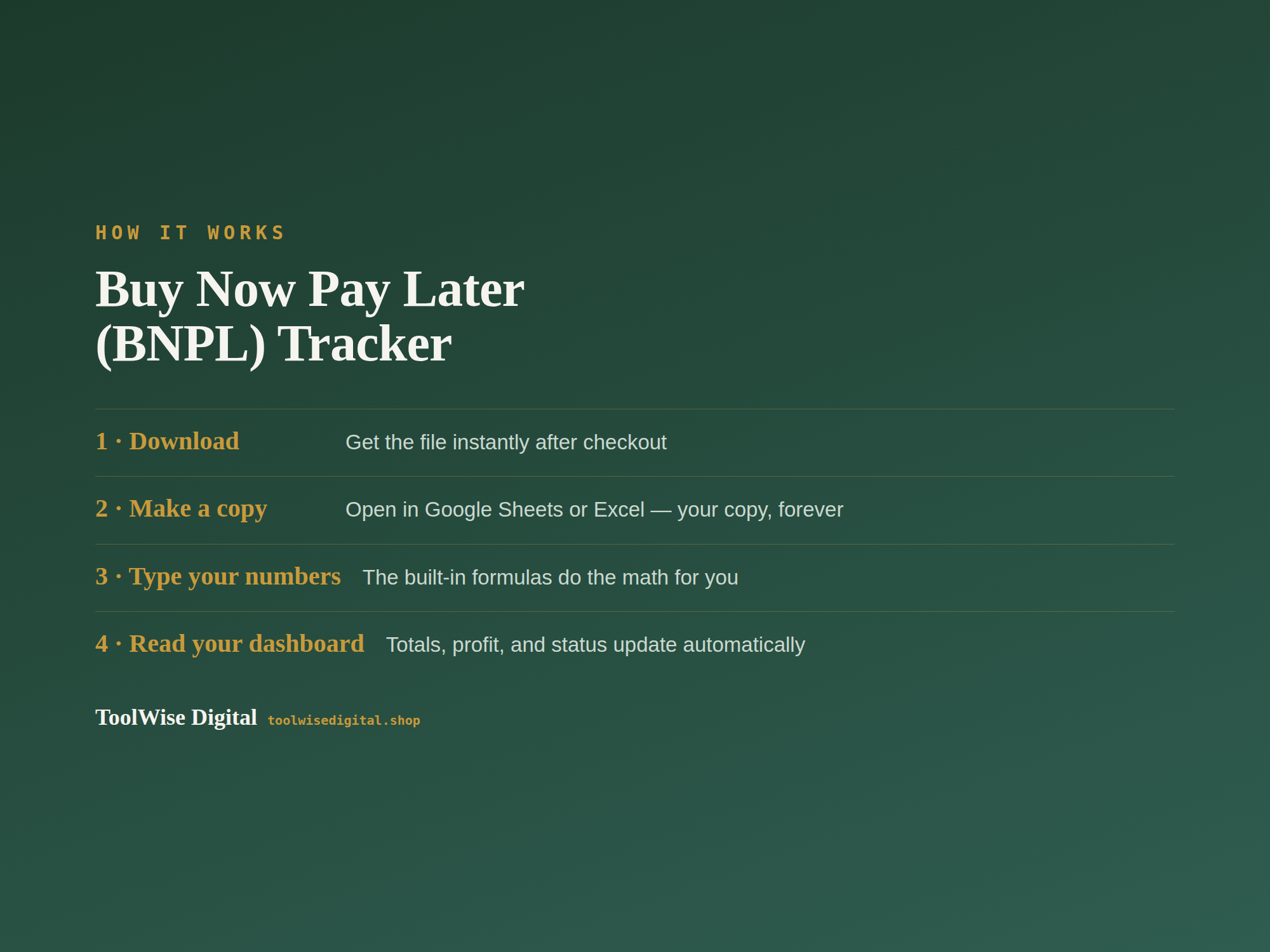 Buy Now Pay Later Tracker — Google Sheets & Excel spreadsheet by ToolWise Digital — view 5