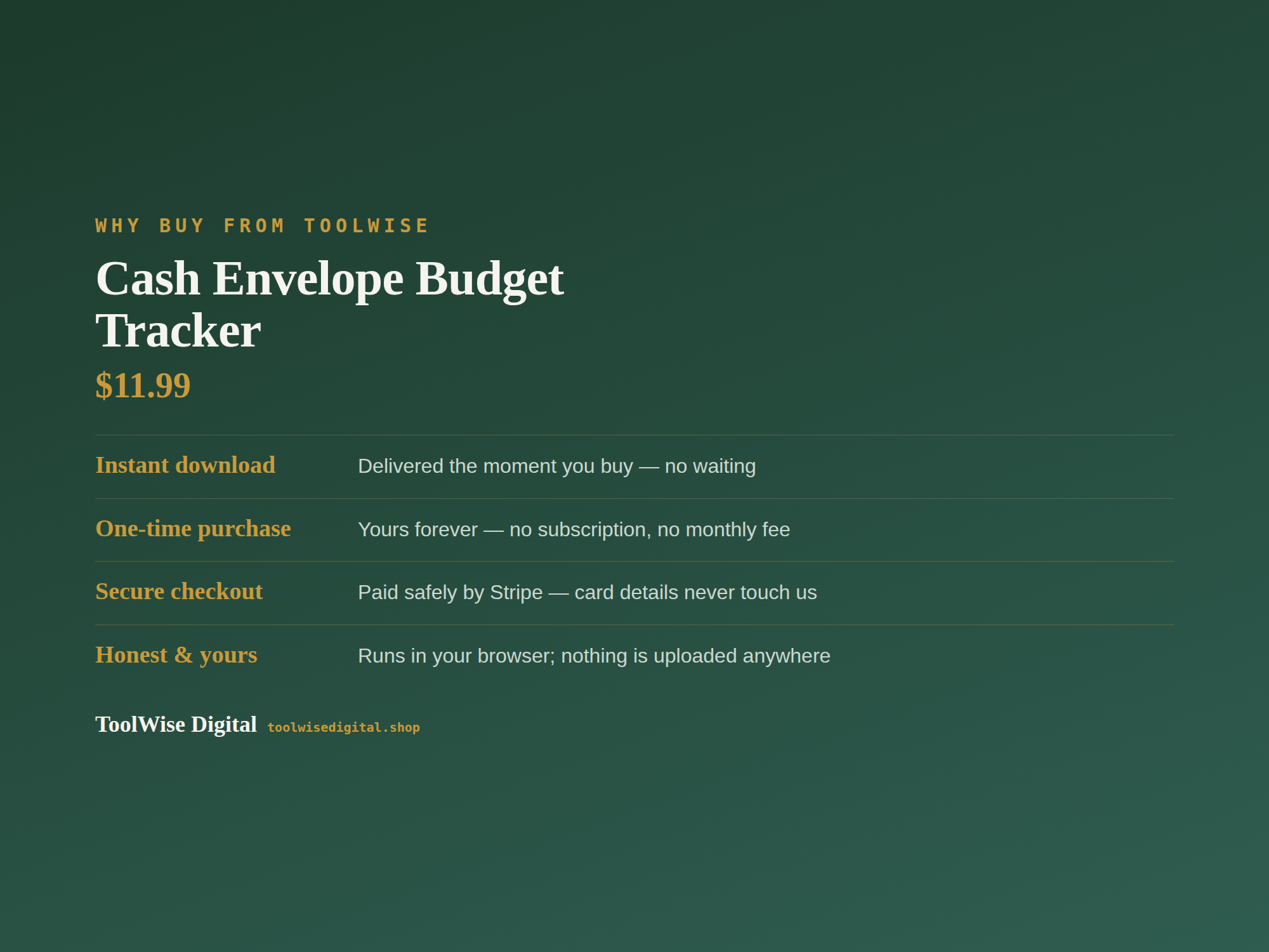 Cash Envelope Budget Tracker — Google Sheets & Excel spreadsheet by ToolWise Digital — view 8