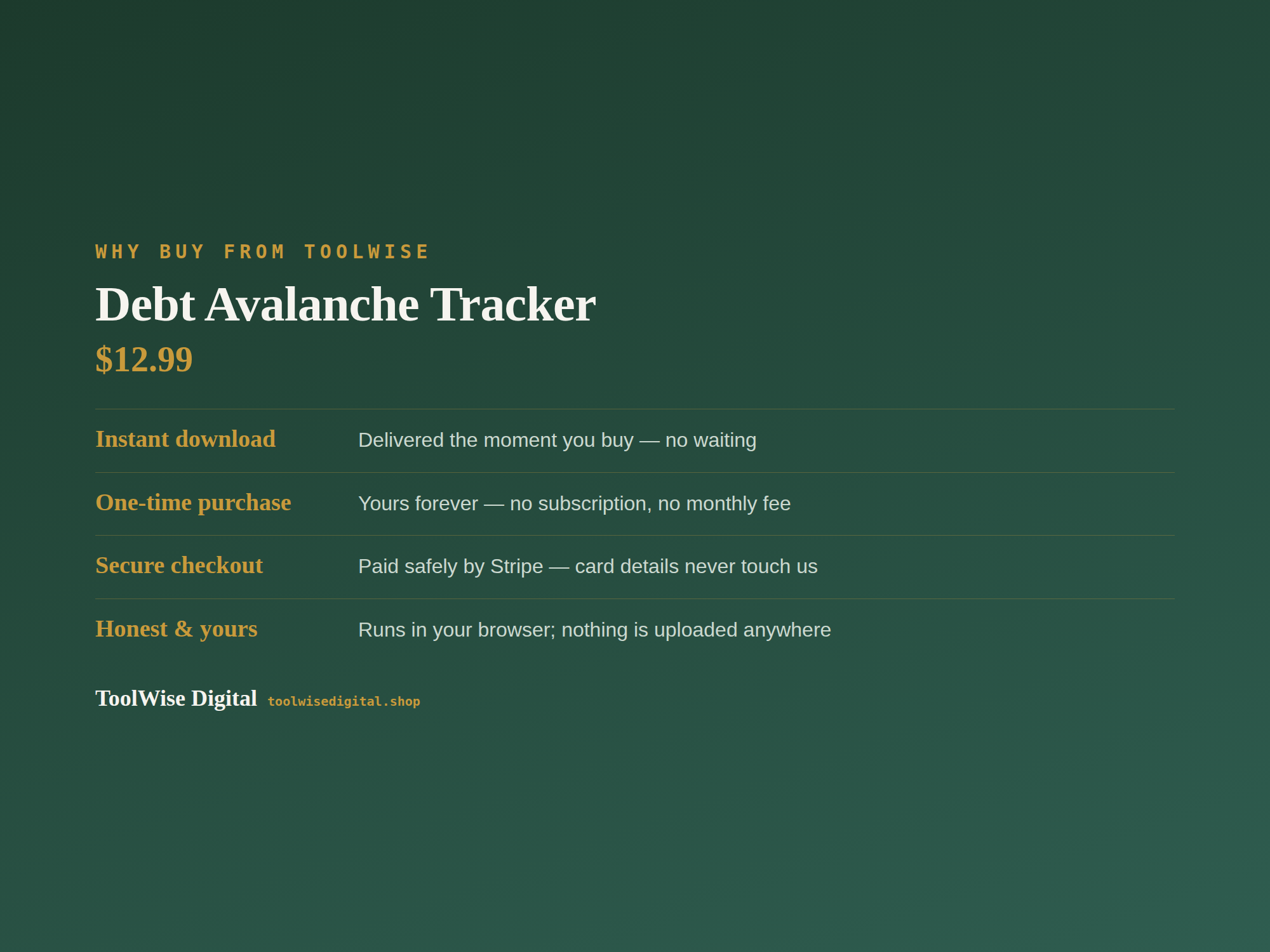 Debt Avalanche Tracker — Google Sheets & Excel spreadsheet by ToolWise Digital — view 8