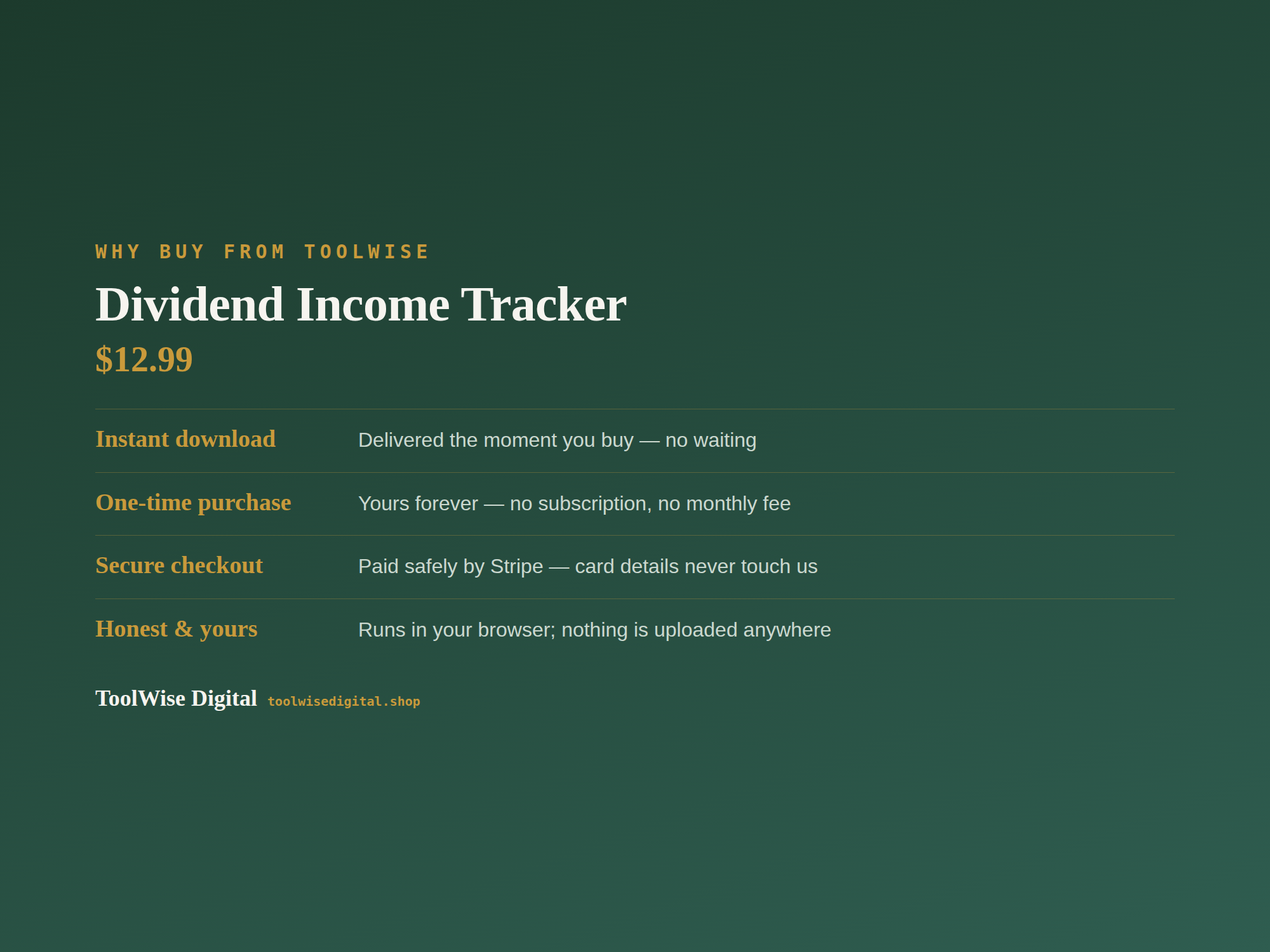 Dividend Income Tracker — Google Sheets & Excel spreadsheet by ToolWise Digital — view 8