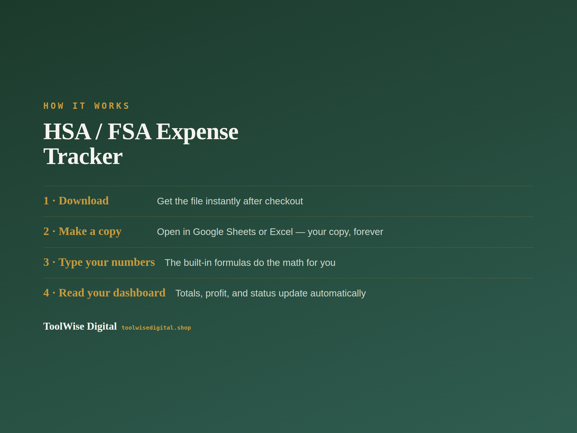HSA FSA Expense Tracker — Google Sheets & Excel spreadsheet by ToolWise Digital — view 5