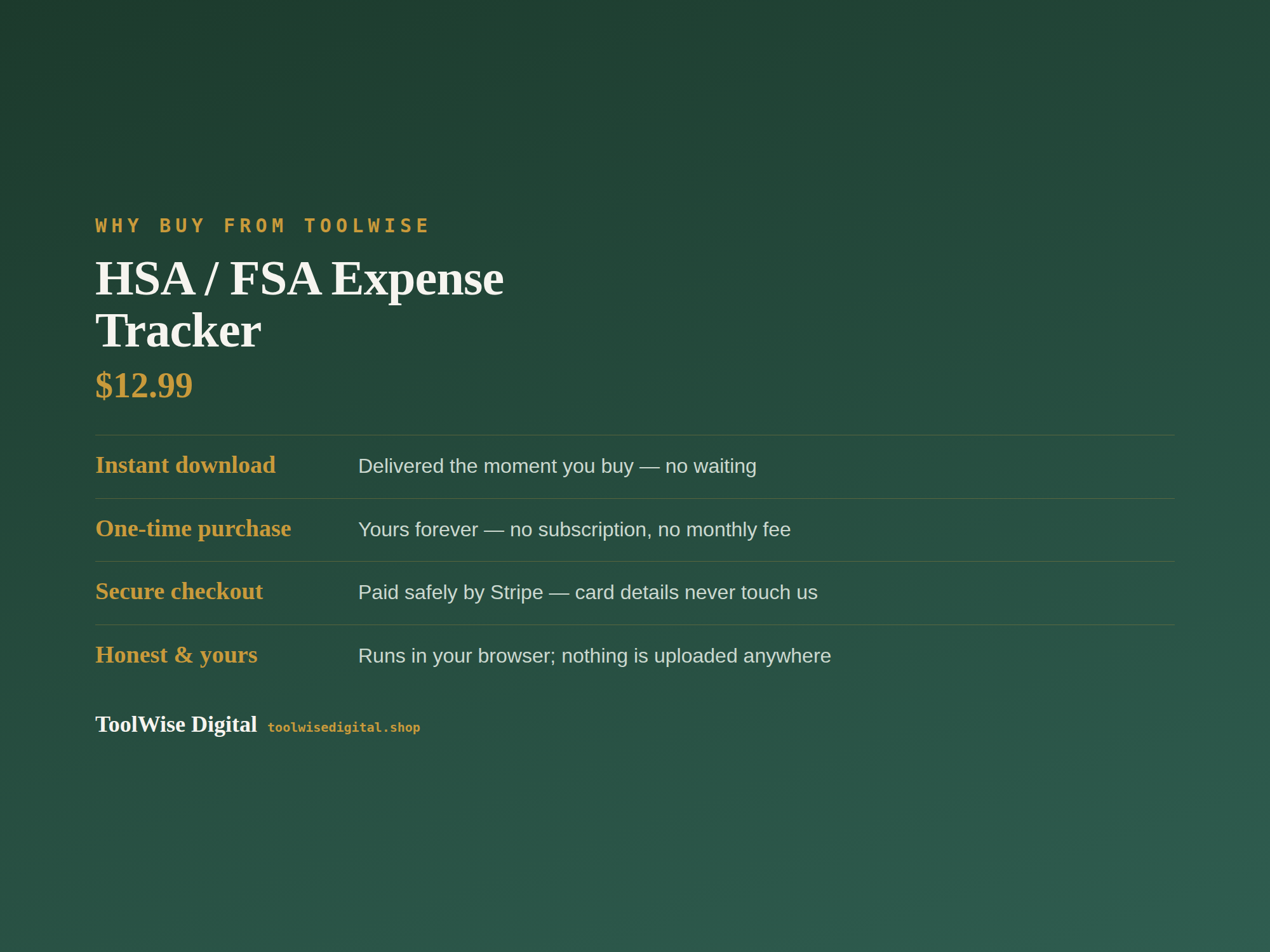 HSA FSA Expense Tracker — Google Sheets & Excel spreadsheet by ToolWise Digital — view 8
