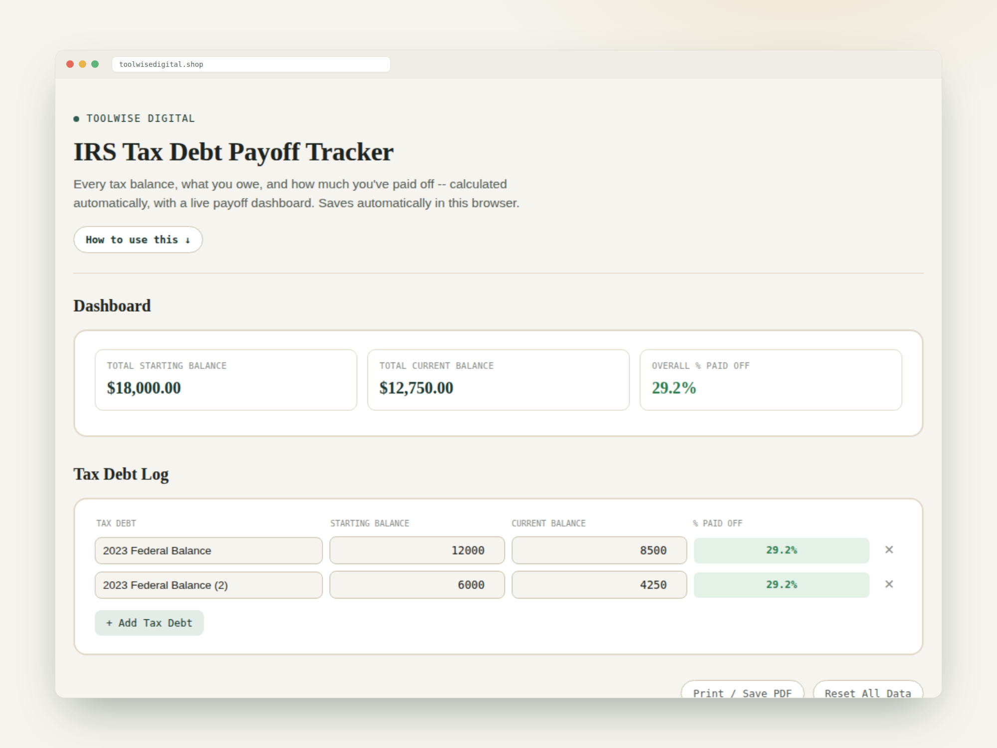 IRS Tax Debt Payoff Tracker — Google Sheets & Excel spreadsheet by ToolWise Digital — view 2