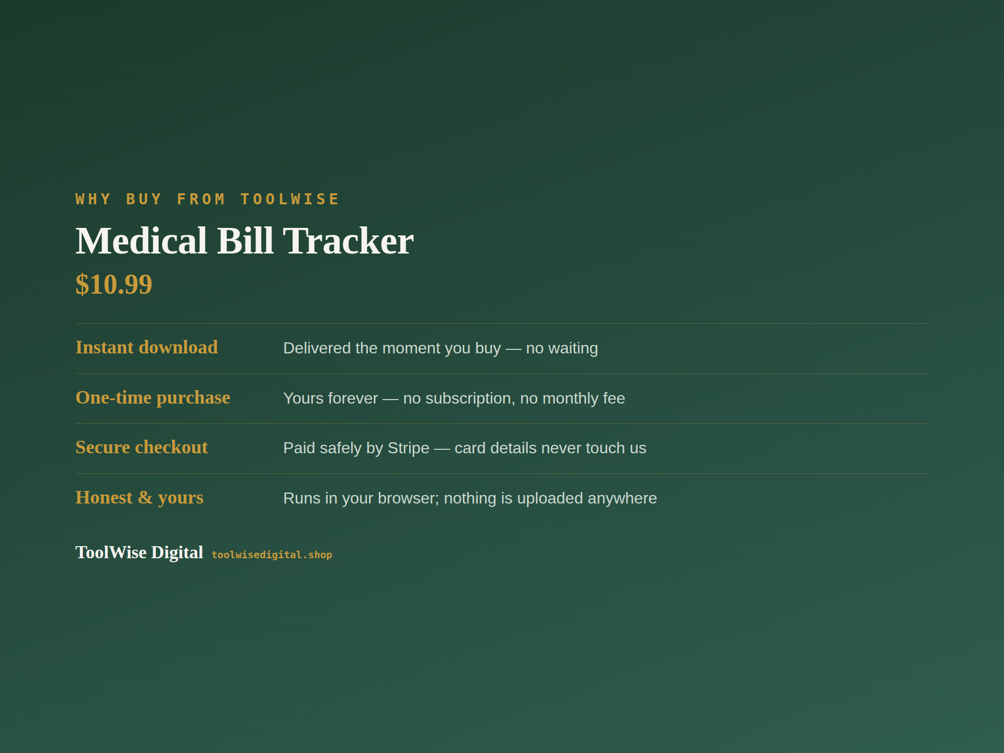 Medical Bill Tracker — Google Sheets & Excel spreadsheet by ToolWise Digital — view 8
