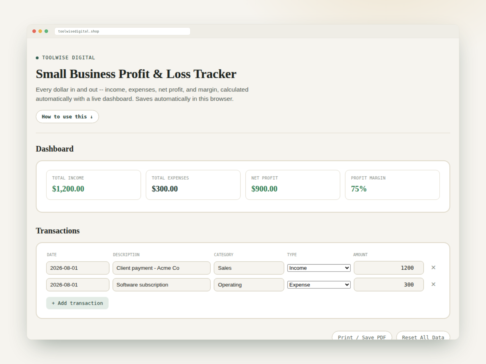 Small Business Profit & Loss Tracker — Google Sheets & Excel spreadsheet by ToolWise Digital — view 2