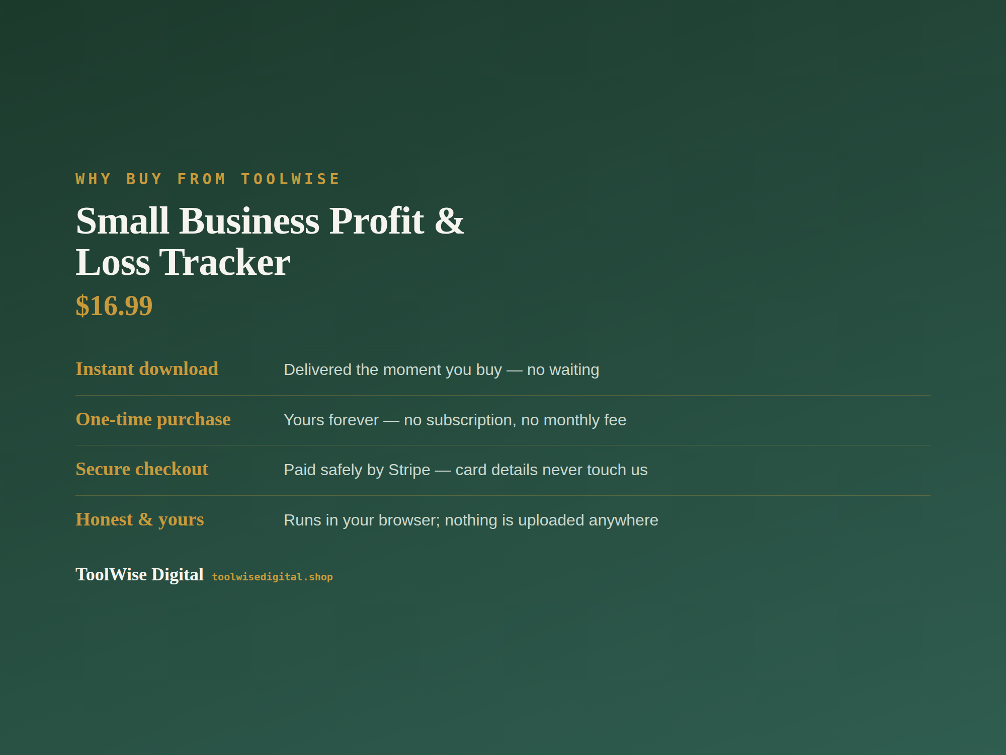 Small Business Profit & Loss Tracker — Google Sheets & Excel spreadsheet by ToolWise Digital — view 8